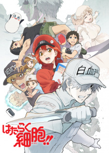 Hataraku Saibou Season 2 Sub Indo : Episode 1 – 8 (End)