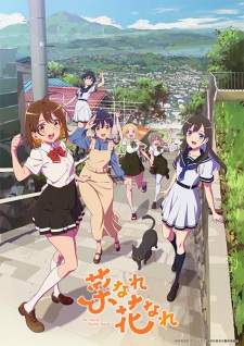 Na Nare Hana Nare Sub Indo : Episode 1 – 12 (End)