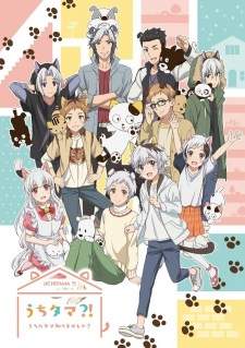Uchi Tama?! Uchi no Tama Shirimasen ka? Sub Indo : Episode 1 – 11 (End)